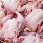هرشب ۹۰۰ تن مرغ در ایام نوروز در اصفهان کشتار می‌شود