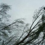 هشدار هواشناسی درباره وقوع توفان و تندبادهای لحظه‌ای در اصفهان