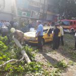وقوع ۸ حادثه سقوط درخت و تیر چراغ برق در اصفهان