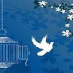 ۶۷۷ زندانی جرایم غیرعمد در اصفهان آزاد شد
