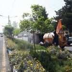 انجام عملیات سم‌پاشی درختان در منطقه ۵ اصفهان